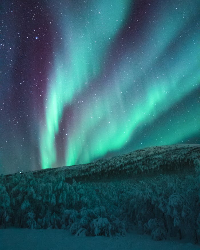 Vivid aurora borealis dances over a winter landscape, illuminating the starry night sky.